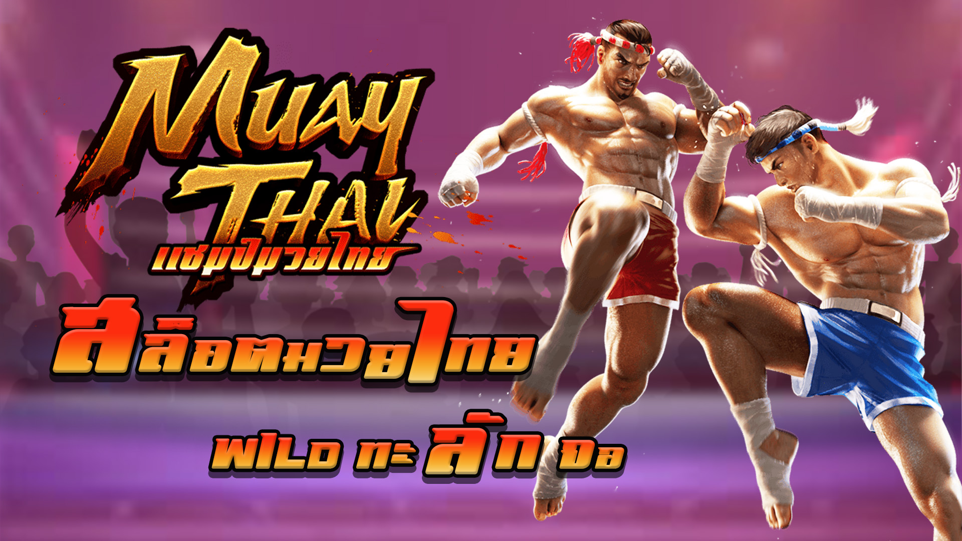 Muay Thai Champion