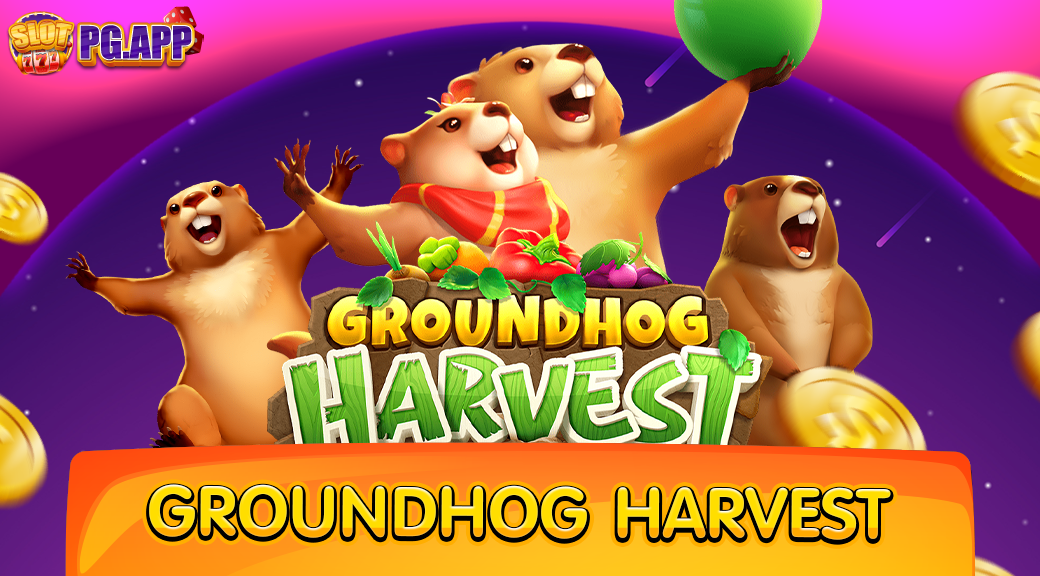 Groundhog Harvest