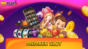 MEMBER SLOT